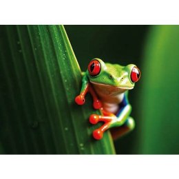 Kalendarz ścienny żABKA trójdzielny 320mm x 855mm Jotan (T63)