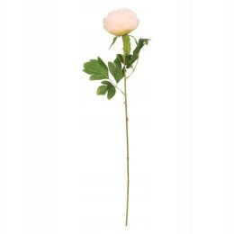 Kwiaty piwonia 60cm różowa Home And Garden (1815)