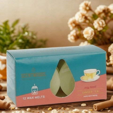 Świeca ScentMoods wosk zapachowy Ginger Tea 12 sztuk Pavoncella (8720935400363) Świeca ScentMoods wosk zapachowy Ginger Tea 12 sztuk Pavoncella (8720935400363)