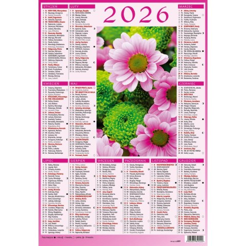 Kalendarz ścienny 5905031841033 plakietka A4 230mm x 335mm Wydawnictwo Wokół Nas (KS059) Kalendarz ścienny 5905031841033 plakietka A4 230mm x 335mm Wydawnictwo Wokół Nas (KS059)