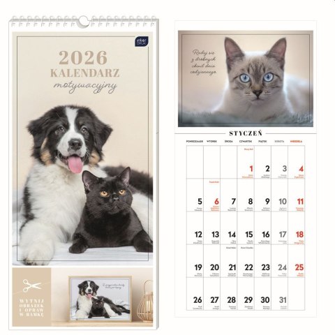 Kalendarz ścienny motywujący 220mm x 460mm Interdruk (ZWIERZAKI) Kalendarz ścienny motywujący 220mm x 460mm Interdruk (ZWIERZAKI)