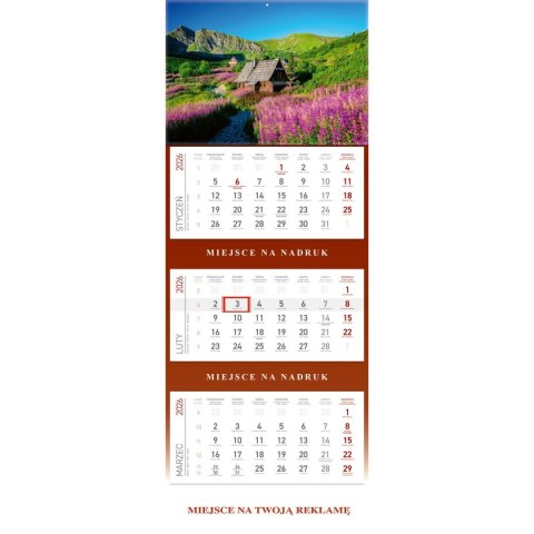 Kalendarz ścienny plecki szare HALA GĄSIENICOWA 297mm x 210mm Wydawnictwo Wokół Nas (KS055B) Kalendarz ścienny plecki szare HALA GĄSIENICOWA 297mm x 210mm Wydawnictwo Wokół Nas (KS055B)