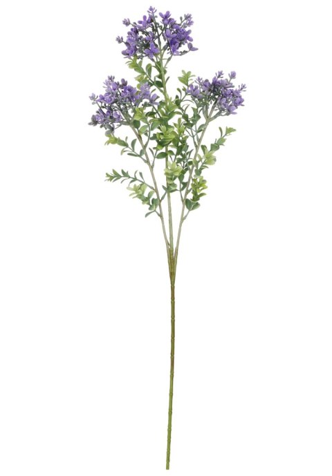 Kwiaty Lucerna 72 cm Home And Garden (1555) Kwiaty Lucerna 72 cm Home And Garden (1555)