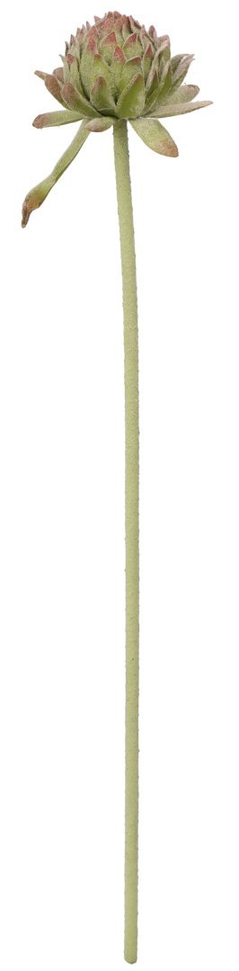 Kwiaty karczoch 60cm Home And Garden (8219) Kwiaty karczoch 60cm Home And Garden (8219)