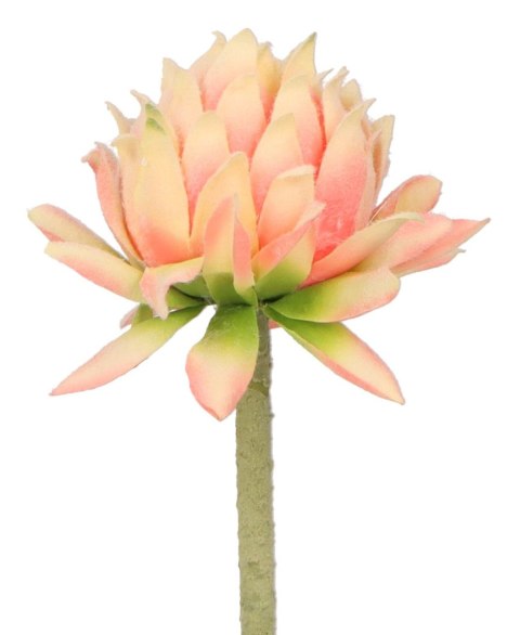 Kwiaty karczoch 60cm Home And Garden (8219) Kwiaty karczoch 60cm Home And Garden (8219)