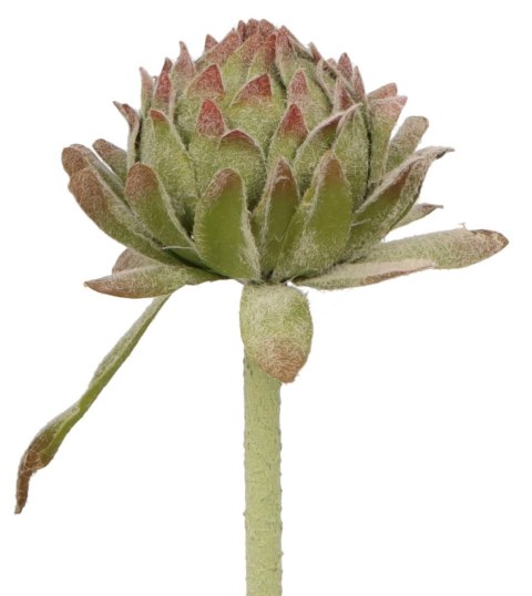 Kwiaty karczoch 60cm Home And Garden (8219) Kwiaty karczoch 60cm Home And Garden (8219)