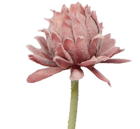 Kwiaty karczoch 60cm Home And Garden (8219) Kwiaty karczoch 60cm Home And Garden (8219)