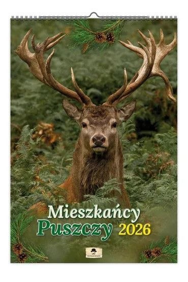 Kalendarz ścienny Mieszkańcy PUSZCZY 320mm x 470mm Pan Kalendarzyk (A3 VD.11) Kalendarz ścienny Mieszkańcy PUSZCZY 320mm x 470mm Pan Kalendarzyk (A3 VD.11)