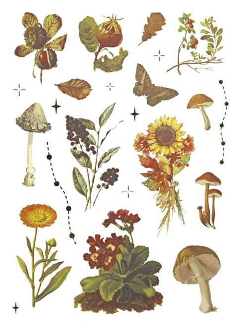 Naklejka (nalepka) Craft-Fun Series Naklejki foliowe 8 plansz Titanum (25YZ009) Naklejka (nalepka) Craft-Fun Series Naklejki foliowe 8 plansz Titanum (25YZ009)