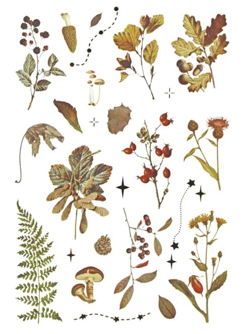 Naklejka (nalepka) Craft-Fun Series Naklejki foliowe 8 plansz Titanum (25YZ009) Naklejka (nalepka) Craft-Fun Series Naklejki foliowe 8 plansz Titanum (25YZ009)