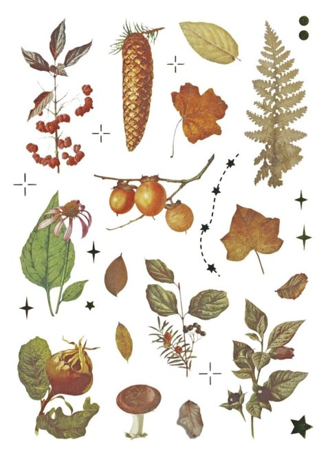 Naklejka (nalepka) Craft-Fun Series Naklejki foliowe 8 plansz Titanum (25YZ009) Naklejka (nalepka) Craft-Fun Series Naklejki foliowe 8 plansz Titanum (25YZ009)