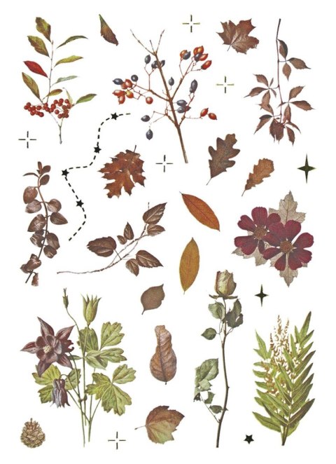 Naklejka (nalepka) Craft-Fun Series Naklejki foliowe 8 plansz Titanum (25YZ009) Naklejka (nalepka) Craft-Fun Series Naklejki foliowe 8 plansz Titanum (25YZ009)