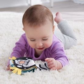 Zabawka edukacyjna Rozkołysana Wyderka 2w1 Poduszeczka Fisher Price (HXG96) Zabawka edukacyjna Rozkołysana Wyderka 2w1 Poduszeczka Fisher Price (HXG96)