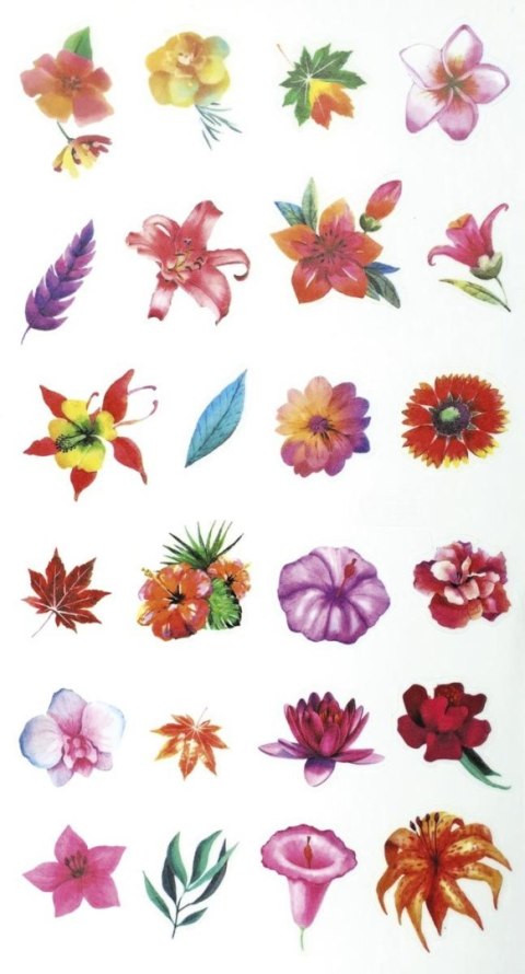 Naklejka (nalepka) Craft-Fun Series Kwiaty Titanum (FZH FLOWERS2) Naklejka (nalepka) Craft-Fun Series Kwiaty Titanum (FZH FLOWERS2)