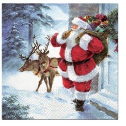 Serwetki Lunch BN bibuła [mm:] 330 Paw (SDL013300)