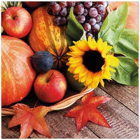 Serwetki Lunch mix bibuła [mm:] 330x330 Paw (SDL127200)