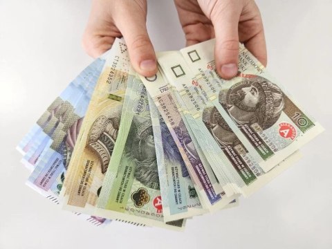 Zabawka edukacyjna pieniądze Multigra Zabawka edukacyjna pieniądze Multigra