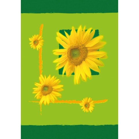 Brulion A7 64k. krata [mm:] 105x75 Kreska