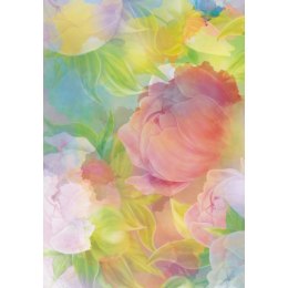 Brulion twarda oprawa B5 300k. krata Kreska