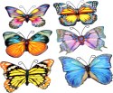 Naklejka (nalepka) Craft-Fun Series motyle Titanum (22LJ0828-5/B)