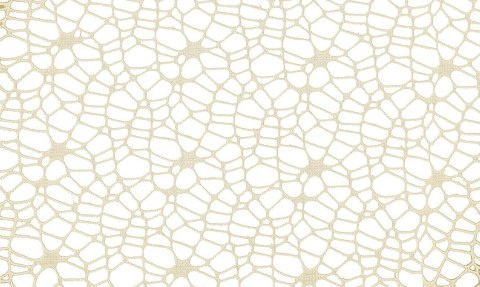 Ozdoba materiałowa Craft-Fun Series siatka koronkowa kremowa Titanum (25CR0331-16) Ozdoba materiałowa Craft-Fun Series siatka koronkowa kremowa Titanum (25CR0331-16)