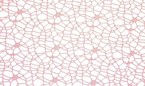Ozdoba materiałowa Craft-Fun Series siatka koronkowa różowa Titanum (25CR0331-13) Ozdoba materiałowa Craft-Fun Series siatka koronkowa różowa Titanum (25CR0331-13)