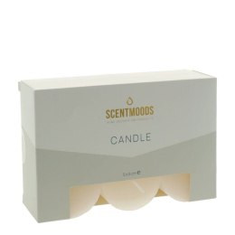 Świeca pieńkowa 5x5cm 6szt., w kolorze Ivory [mm:] 50 śr. 50mm Pavoncella (8720935400851)