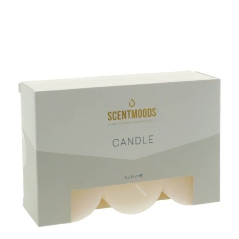 Świeca pieńkowa 5x5cm 6szt., w kolorze Ivory [mm:] 50 śr. 50mm Pavoncella (8720935400851)