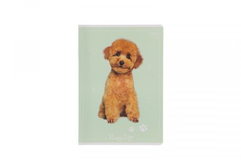 Zeszyt A5 kol 3= 5902277348418 A5 16k. 70g linia kolor Interdruk Zeszyt A5 kol 3= 5902277348418 A5 16k. 70g linia kolor Interdruk