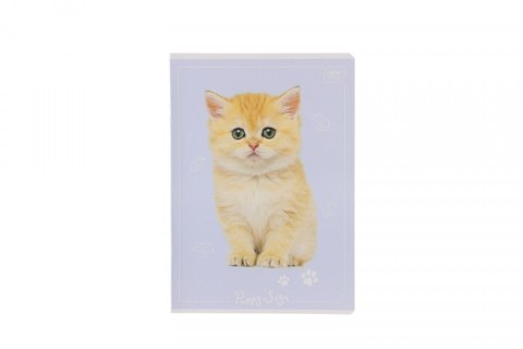 Zeszyt A5 kol 3= 5902277348418 A5 16k. 70g linia kolor Interdruk Zeszyt A5 kol 3= 5902277348418 A5 16k. 70g linia kolor Interdruk