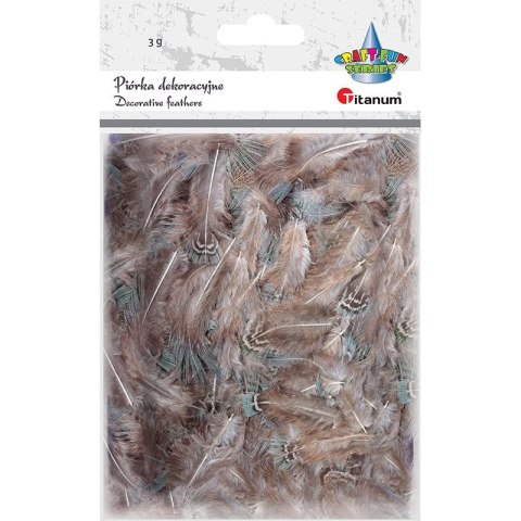 Piórka Craft-Fun Series 3g brązowy Titanum (A19HT018) Piórka Craft-Fun Series 3g brązowy Titanum (A19HT018)