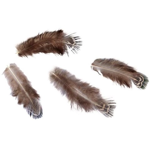 Piórka Craft-Fun Series 3g brązowy Titanum (A19HT018) Piórka Craft-Fun Series 3g brązowy Titanum (A19HT018)