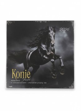 Kalendarz ścienny wieloplanszowy 300mm x 600mm Avanti (KAD-11)