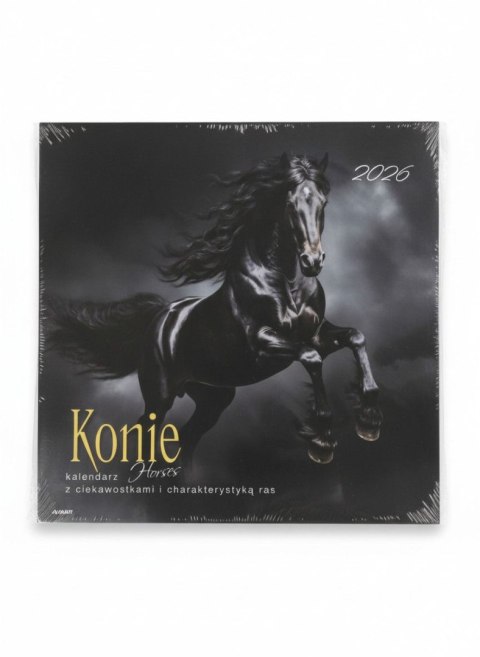 Kalendarz ścienny wieloplanszowy 300mm x 600mm Avanti (KAD-11)