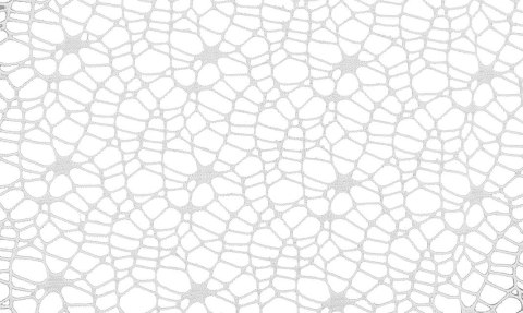 Ozdoba materiałowa Craft-Fun Series siatka koronkowa biała Titanum (25CR0331-14)