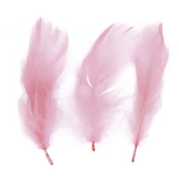 Piórka Craft-Fun Series różowy pastelowy Titanum