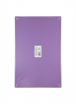Brystol A3 fioletowy ciemny 160g 20k Protos
