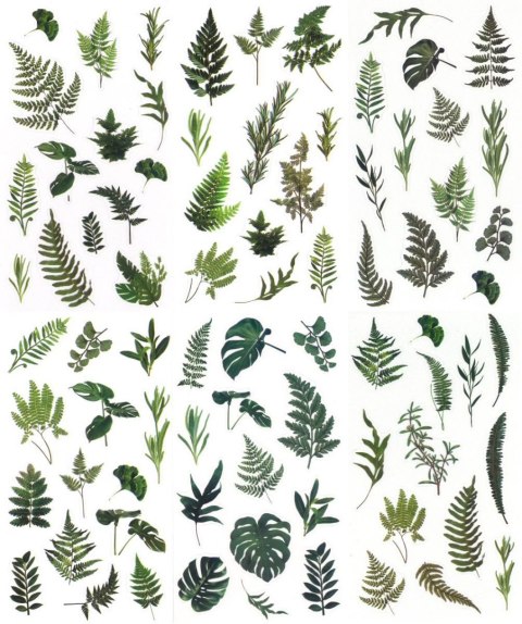 Naklejka (nalepka) Craft-Fun Series Liście foliowe Titanum (25MD001)