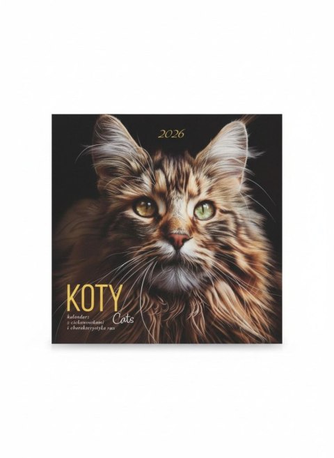 Kalendarz ścienny wieloplanszowy 300mm x 300mm Avanti (KAD-9)