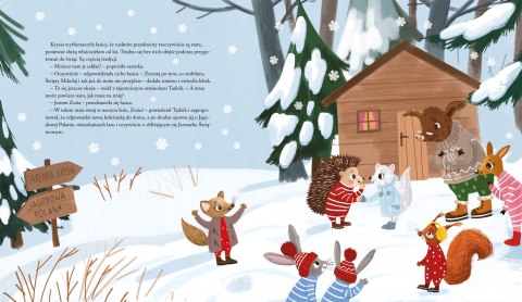 Książka dla dzieci Zimowa zagadka jeżyka Tadzika Aksjomat