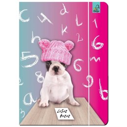 Teczka kartonowa na gumkę A4 Best Friend zwierzaki mix A4 mix Ev-corp (TA4BF2)