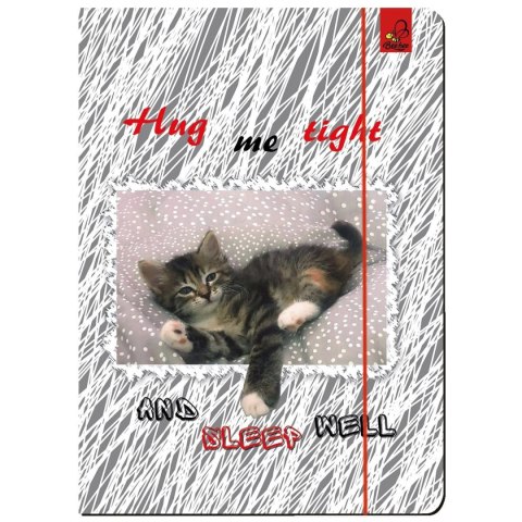 Teczka kartonowa na gumkę A4 Best Friend zwierzaki mix A4 mix Ev-corp (TA4BF2)