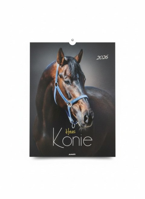 Kalendarz ścienny MAŁY wieloplanszowy 230mm x 320mm Avanti (KSM-5)