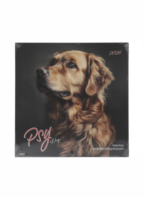 Kalendarz ścienny wieloplanszowy 300mm x 600mm Avanti (KAD-10)