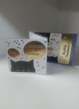 Kartka składana KARNET B6 składany koty B6 Henry (5905701484133)