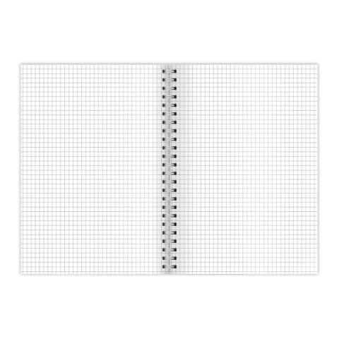 Kołozeszyt (kołonotatnik) City A5 100k. 70g krata TOP-2000 (400169509)