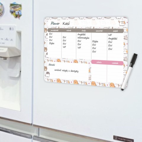 Zestaw szkolny Kittens 4 el. Biurfol (KPL-NADRUK-01-35)