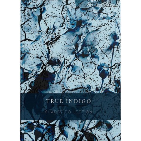 Brulion Shades A5 96k. 70g krata Top 2000 (400158936)