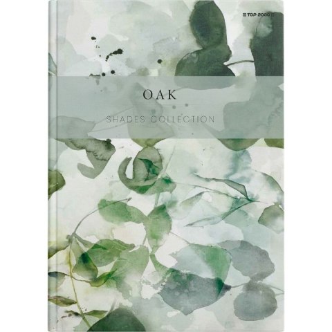 Brulion Shades A5 96k. 70g krata Top 2000 (400158936)