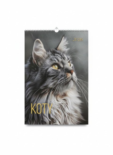 Kalendarz ścienny KOTY wieloplanszowy paskowy 285mm x 410mm Avanti (A3-13)